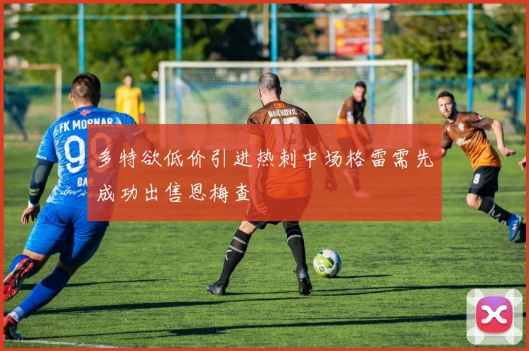 多特欲低价引进热刺中场格雷需先成功出售恩梅查